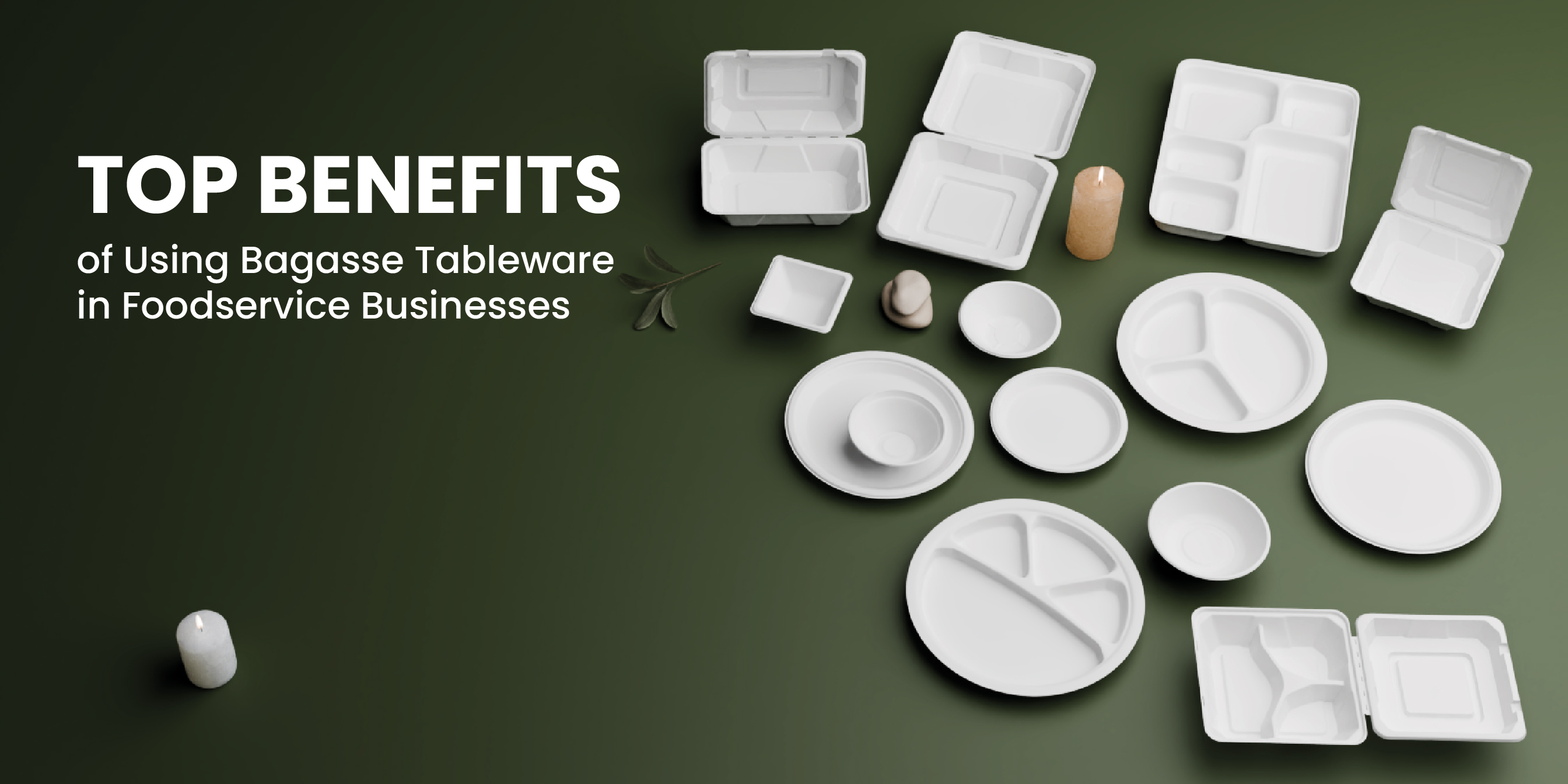 Top Benefits of Using Bagasse Tableware in Food service Businesses